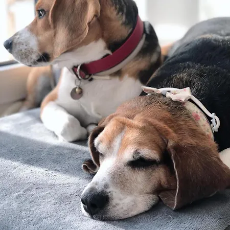 Volli Three Bed & Breakfast Agrigento